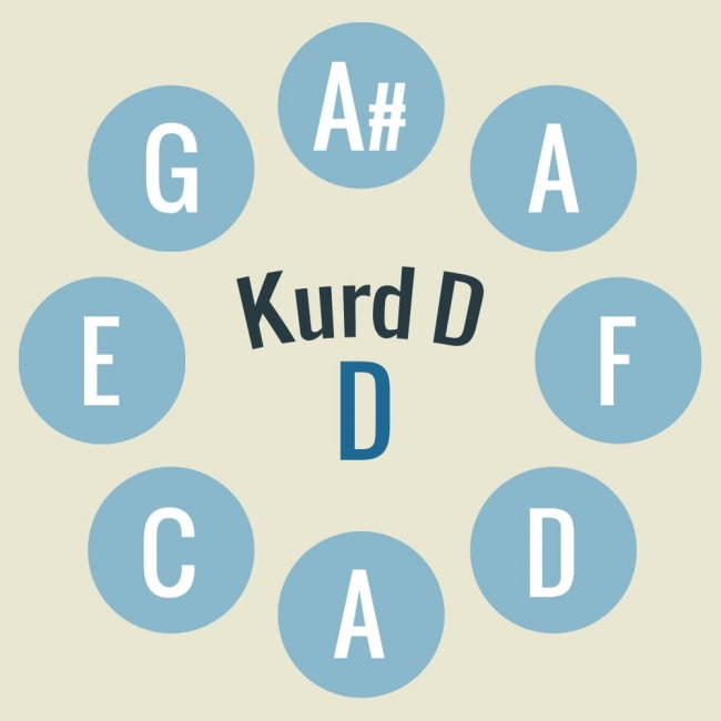 ハンドパン Kurd D【54cm - 9notes】 -ソフトケース付属 3 - キーの配置はこのようになっております。