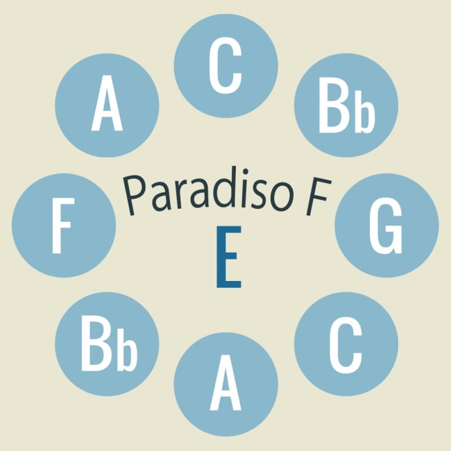 ハンドパン paradiso F【54cm - 9notes】 -ソフトケース付属 3 - キーの配置はこのようになっております。