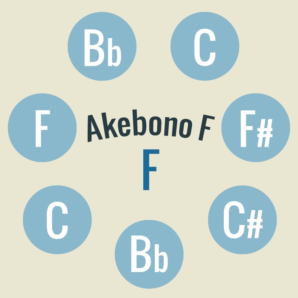 送料無料 ハンドパン スチールパン 打楽器 パーカッション Akebono F