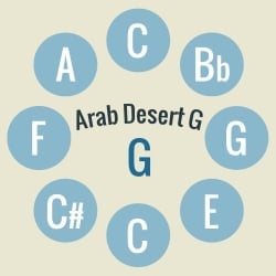 ハンドパン Arab Desert G【59cm - 9notes】 -ソフトケース付属 - サブ2
