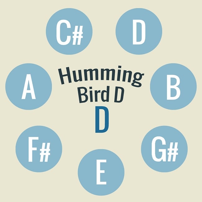 ハンドパン Humming Bird D【59cm - 8notes】 -ソフトケース付属 2 - 当商品の音階位置はこのようになっております。