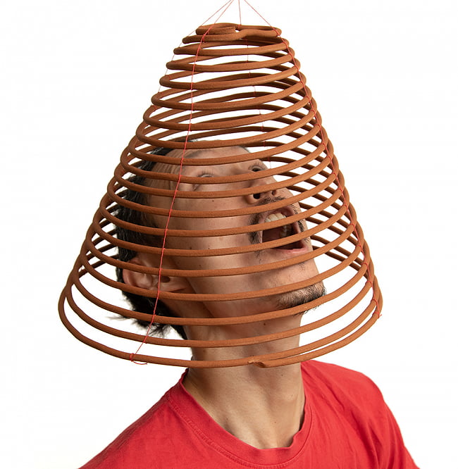 【送料無料・5個セット】ベトナムの渦巻きお香 - 35cm 6 - お香の中に顔が入る大きさでした！　びっくり！！