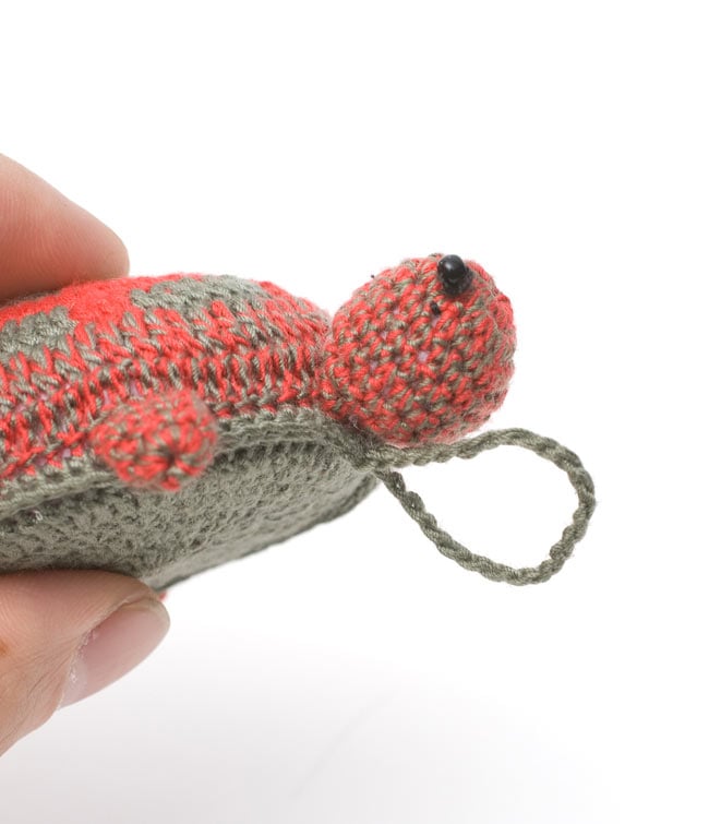 亀さんメジャー -ブラウン×レッド 5 - 首もとに輪っかがついてるよ。