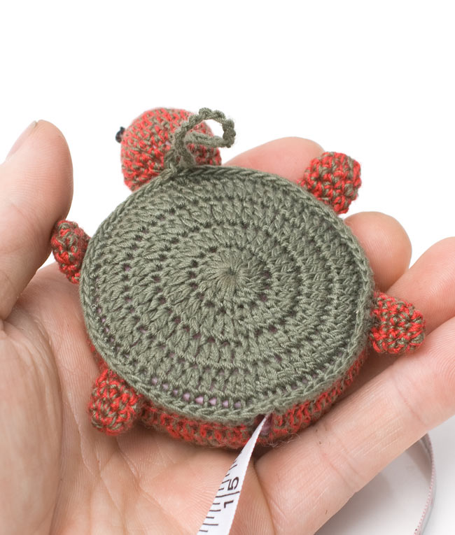 亀さんメジャー -ブラウン×レッド 6 - 僕のお腹を押してみて。